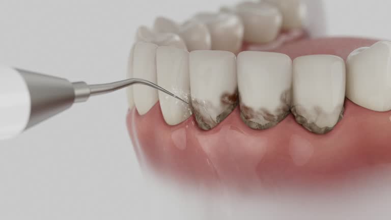Reliable Dental contractor in East Falmouth, MA by Dentist Open Now